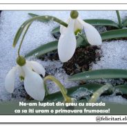 O primavara frumoasa!