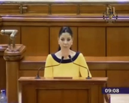 Declaratia politica: „Romania puternica intr-o noua Europa unita”