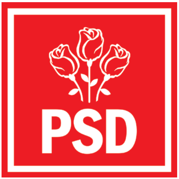 Despre viitorul partidului și al României