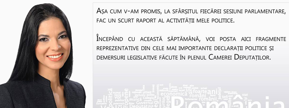 Raport de activitate