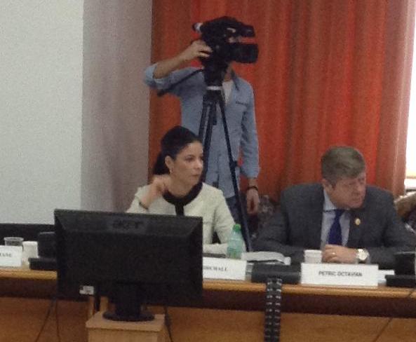 Avizarea bugetului Ministerului Economiei