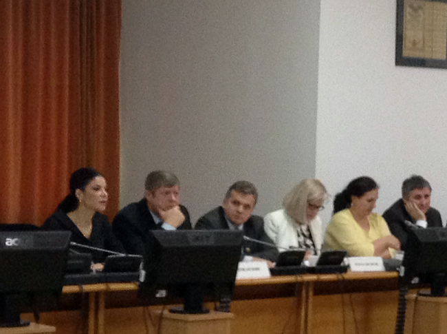 Bugetele ministerelor Mediului, Culturii și MSI au fost adoptate