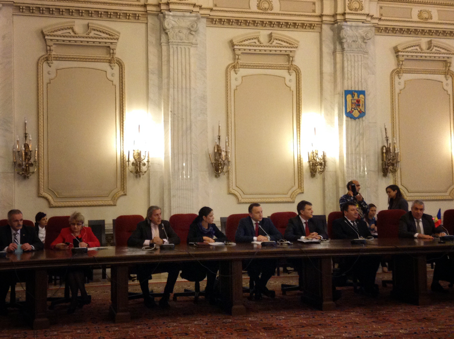 Întrevedere despre noul plan de investiții al Comisiei Europene