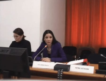 Declarație în Comisia pentru buget despre soluţiile la problema creditelor neperformante în valută
