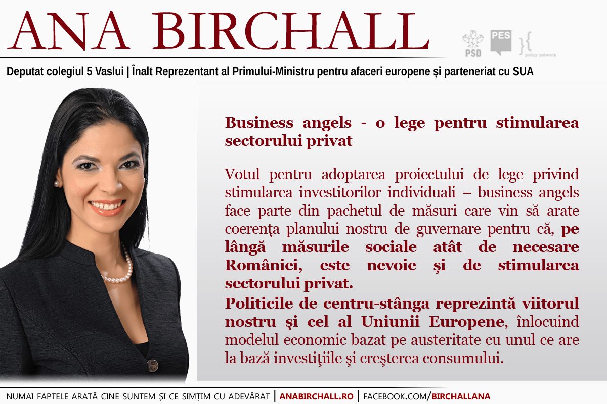 Business angels – o lege pentru stimularea sectorului privat