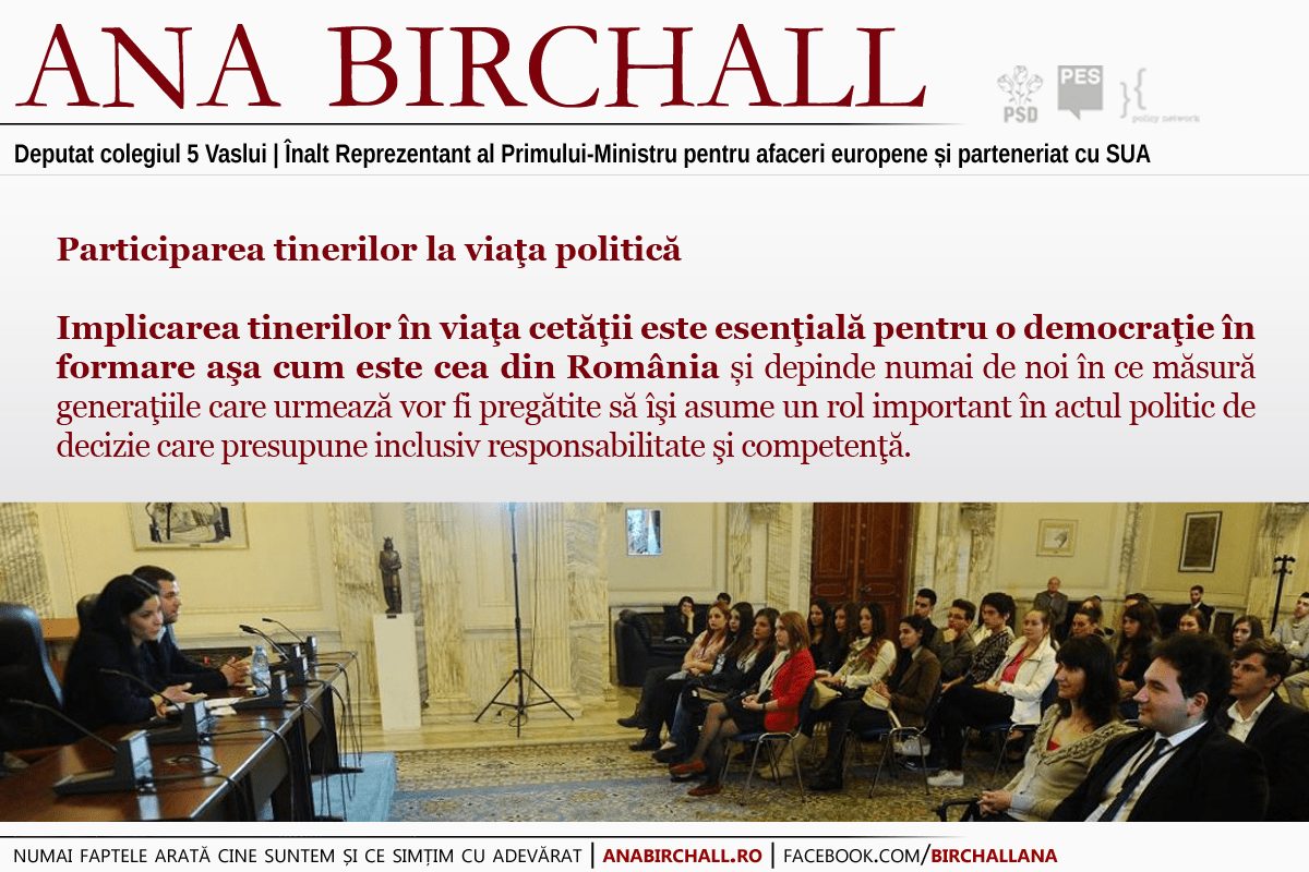 Participarea tinerilor la viaţa politică