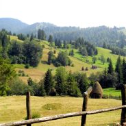 28 noiembrie – Ziua Bucovinei