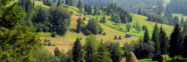 28 noiembrie – Ziua Bucovinei