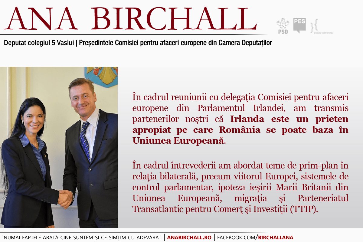 Reuniunea cu delegaţia Comisiei pentru afaceri europene din Parlamentul Irlandei