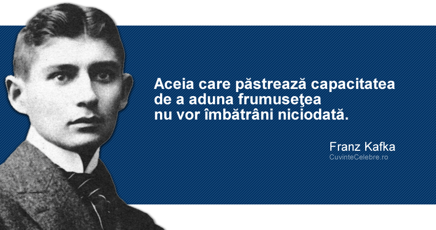Citat-Franz-Kafka