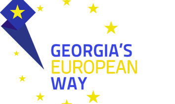 Ana Birchall va participa la cea de-a 13-a Conferinţă Internaţională Anuală „Georgia`s European Way”, care se va desfăşura în Batumi, Georgia, în perioada 14-15 iulie a.c.   