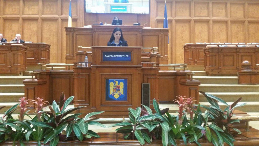 Declaraţie politică referitoare la preşedinţia română a Consiliului UE în primul semestru al anului 2019