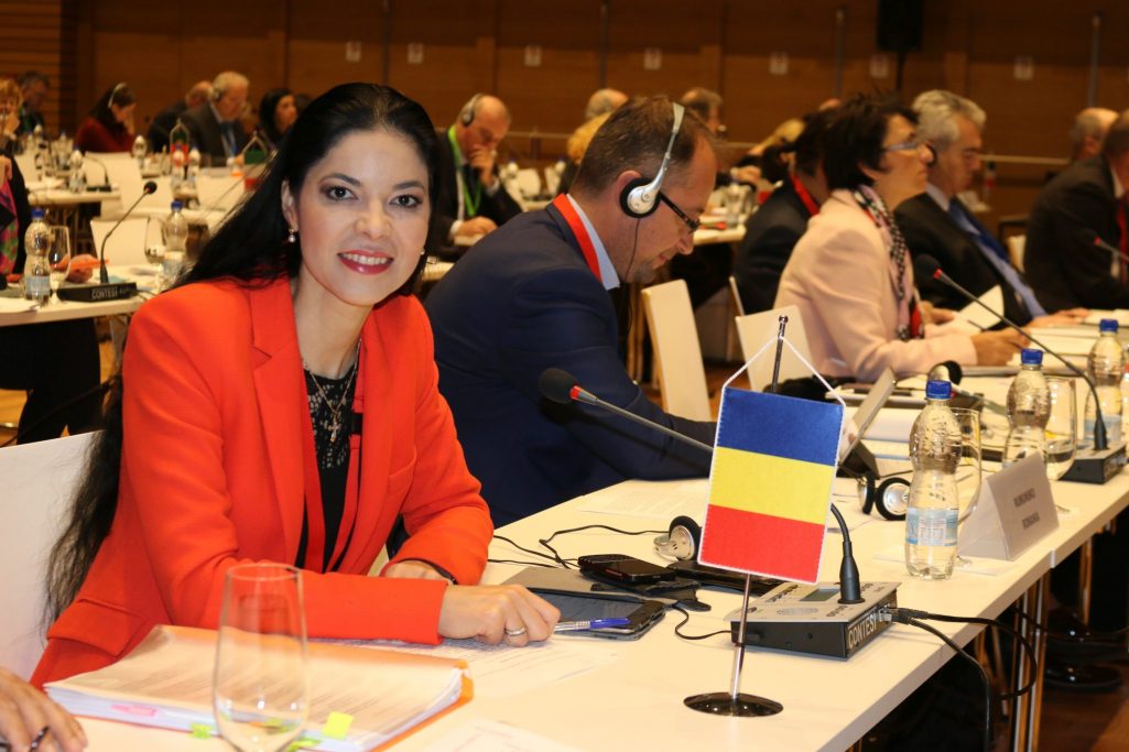 La începutul celei de-a doua zile de lucru a reuniunii COSAC de la Bratislava, am susţinut o intervenţie la nivelul dezbaterilor legate de iniţiativa privind Uniunea Energetică