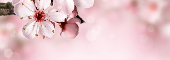 1 Martie – începutul primăverii