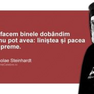 105 ani de la nașterea lui Nicolae Steinhardt