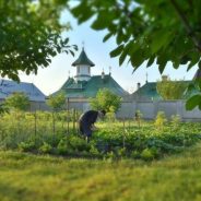 Un strop de liniște într-o zi toridă de vară