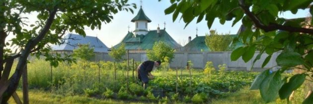 Un strop de liniște într-o zi toridă de vară