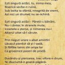 137 ani de la naşterea lui Octavian Goga