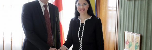 Întrevedere cu adjunctul ministrului georgian al afacerilor externe, domnul Vakhtang Makharoblishvili