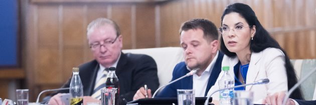 Prima reuniune a Comitetului interministerial pentru implementarea obiectivelor rezultate din Parteneriatul Strategic cu SUA și a altor proiecte bilaterale România – SUA