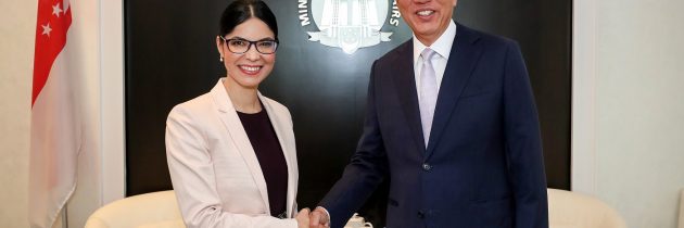 Ana Birchall la forumul Shangri-La: România își consolidează profilul de partener de dialog relevant în domeniul securității la nivel regional și global