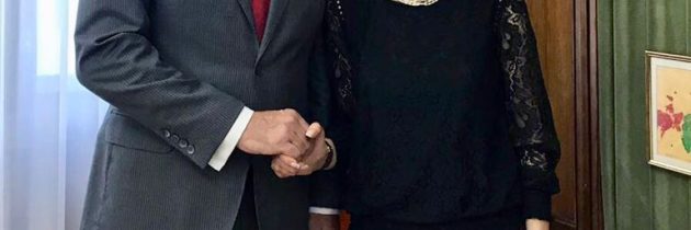 Întrevedere cu E.S. domnul Cord Meier-Klodt, ambasadorul Germaniei în România