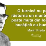 96 de ani de la naşterea lui Marin Preda