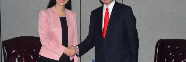 Viceprim-ministrul Ana Birchall, întrevedere cu ministrul de Externe al Japoniei, Tarō Kōno