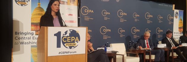 Viceprim-ministrul Ana Birchall: Parteneriatul UE – NATO reprezintă un pilon strategic al relației transatlantice