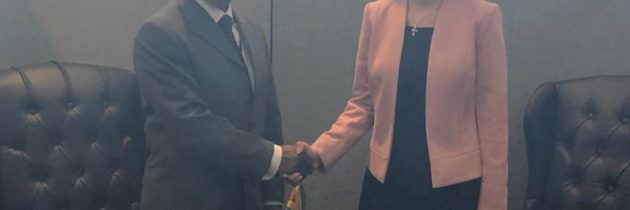 Întrevedere cu domnul Carl B. Greenidge, ministrul afacerilor externe al Republicii Cooperatiste Guyana