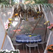 Sukkot (Sărbătoarea Corturilor)