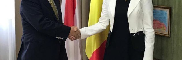 Întrevedere cu ambasadorul Japoniei în România, Excelența Sa, domnul Kisaburo Ishii