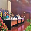 Vicepremierul Ana Birchall: Experiența şi expertiza, argumentele principale ale României pentru obținerea locului de membru nepermanent în Consiliul de Securitate al ONU