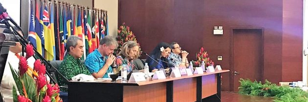 Vicepremierul Ana Birchall: Experiența şi expertiza, argumentele principale ale României pentru obținerea locului de membru nepermanent în Consiliul de Securitate al ONU