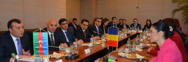 Ana Birchall: Reluarea activității Comisiei Mixte Interguvernamentale de cooperare economică româno-azeră este un punct de referință în evoluția parteneriatului nostru strategic