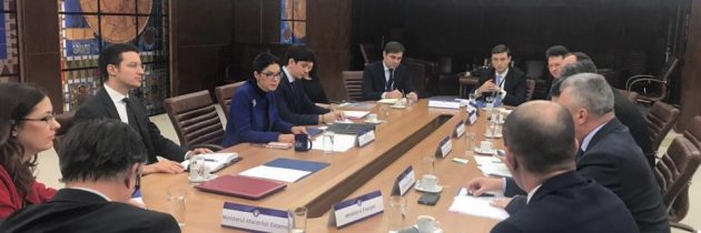 Viceprim-ministrul Ana Birchall a coordonat prima reuniune a Grupului de lucru pentru implementarea proiectelor aprobate la Summit-ul Inițiativei celor Trei Mări (I3M)
