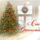 Craciun binecuvântat!