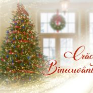 Craciun binecuvântat!