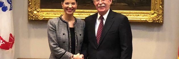 Viceprim-ministrul Ana Birchall, discuții la Washington D.C. cu John Bolton, consilierul prezidenţial american pentru Siguranţă Naţională