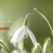 1 Martie – Mărțișor