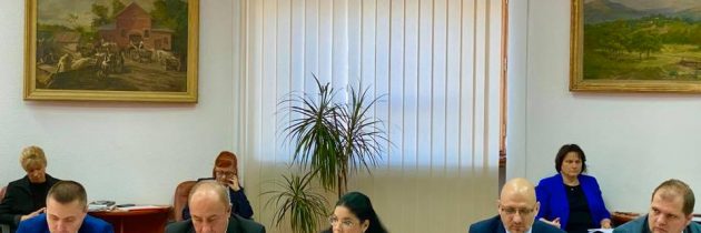 Ana Birchall, la reuniunea Comisiei interinstituționale MCV